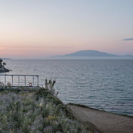 Bellezza Del Mare Διαμέρισμα Αμμούδι Εξωτερικό φωτογραφία